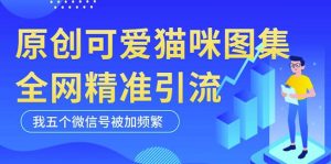 黑科技纯原创可爱猫咪图片，全网精准引流，实操5个VX号被加频繁-云途资源库