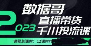 数据哥2023直播电商巨量千川付费投流实操课，快速掌握直播带货运营投放策略-云途资源库