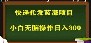 2023最新蓝海快递代发项目，小白零成本照抄也能日入300+-云途资源库
