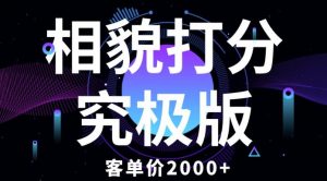 相貌打分究极版，客单价2000+纯新手小白就可操作的项目-云途资源库