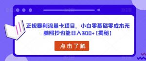 正规暴利流量卡项目，小白零基础零成本无脑照抄也能日入300+【揭秘】-云途资源库