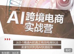 白龙老师·AI跨境电商实战营：从0-1精通Al的真正有效电商玩法，卖家如何利用Al快速超车-云途资源库