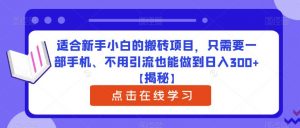适合新手小白的搬砖项目，只需要一部手机、不用引流也能做到日入300+【揭秘】-云途资源库
