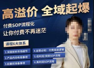 逸风-拼多多高溢价全域起爆，6大课程体系，付费玩法全套实操-云途资源库