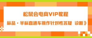 松鼠会电商VIP教程：松鼠《付费推广标品·半标直通车操作针对性答疑&诊断》-云途资源库