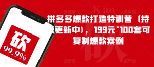 拼多多爆款打造特训营（持续更新中)，199元*100套可复制爆款案例-云途资源库