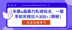车载u盘暴力私域玩法，一部手机实现日入300+【揭秘】-云途资源库