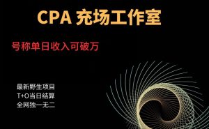 cpa充场工作室，号称单日收入10000+（揭秘）-云途资源库