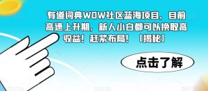 有道词典WOW社区蓝海项目，目前高速上升期，新人小白都可以换取高收益！赶紧布局！【揭秘】-云途资源库