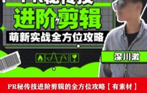 PR进阶剪辑培训班，让你快速成为剪辑大师12节视频课程+素材！-云途资源库