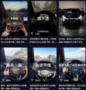 抖音开车视频项目，0基础操作，每天五分钟，月入1W+【揭秘】-云途资源库