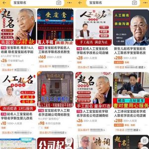 拆解小红书宝宝起名虚拟副业项目，一条龙实操玩法分享给你（教程+软件）-云途资源库