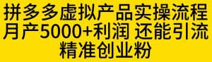 拼多多虚拟产品实操流程，月产5000+利润，还能引流精准创业粉【揭秘】-云途资源库