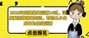 2023淘宝数据化运营14式，深度解析数据化知识，帮你从小白成长为高级运营-云途资源库