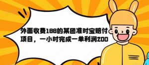 外面收费188的美团准时宝赔付项目，一小时完成一单利润200【仅揭秘】-云途资源库