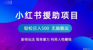 小红书援助项目新奇玩法，简单暴力，无脑搬运轻松日入500【揭秘】-云途资源库