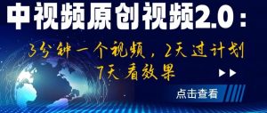 中视频原创视频2.0：3分钟一个视频，2天过计划，7天看效果【揭秘】-云途资源库