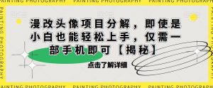 漫改头像项目分解，即使是小白也能轻松上手，仅需一部手机即可【揭秘】-云途资源库