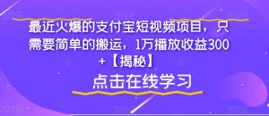 最近火爆的支付宝短视频项目，只需要简单的搬运，1万播放收益300+【揭秘】-云途资源库