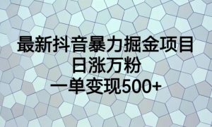 最新抖音暴力掘金项目，日涨万粉，一单变现500+【揭秘】-云途资源库