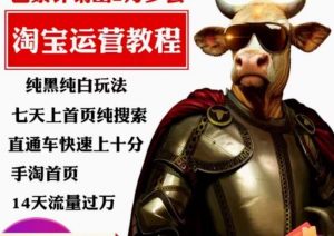 猫老师·淘系算法逆向解密，​纯黑纯白玩法，七天上首页纯搜索，手淘首页14天流量过万-云途资源库