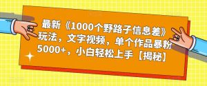 最新《1000个野路子信息差》玩法，文字视频，单个作品暴粉5000+，小白轻松上手【揭秘】-云途资源库