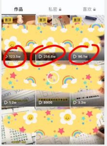 被忽视的冷门项目，随便写写字都能实现月入过万，每天半小时，适合0基础，手机可做【揭秘】-云途资源库