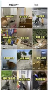 拆解抖音盘点类中视频变现副业项目，视频版一条龙大解析分享给你【视频课程】-云途资源库