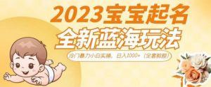抖音美女图文+音乐推广5.0版本，单日单号500+，0本0粉可矩阵，五分钟一个视频【揭秘】-云途资源库