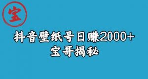 宝哥抖音壁纸号日赚2000+，不需要真人露脸就能操作【揭秘】-云途资源库