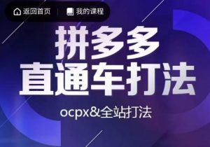 互力·拼多多直通车打法，ocpx&全站打法-云途资源库