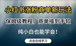 小红书涨粉商单新玩法，保姆级教程，商单接到手软，纯小白也能学会【揭秘】-云途资源库
