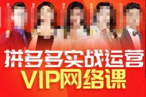 推易拼多多VIP全套直播课程，拼多多店铺实操玩法+实战玩法选款内功+直通车高阶等-云途资源库