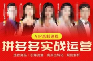 2023推易拼多多实战运营，选款测品、引爆流量、高点击转化、规则解析-云途资源库