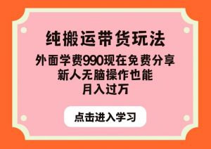 纯搬运带货玩法，外面学费990现在免费分享，新人无脑操作也能月入过万【揭秘】-云途资源库