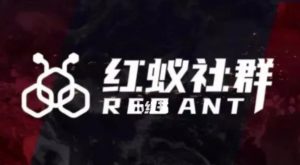 社群运营：红蚁社群【48节落地系统课程+2000人高端社群】-云途资源库