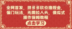 全网首发，拼多多砍价撸现金，偏门玩法，无需拉人头，傻瓜式操作保姆教程【揭秘】-云途资源库