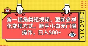第一视角类短视频，更新多样化变现方式，新手小白无门槛操作，日入500+【揭秘】-云途资源库