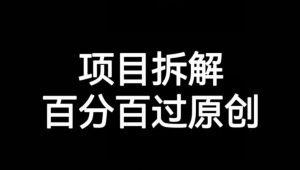项目拆解赛道百分百过原创【揭秘】-云途资源库
