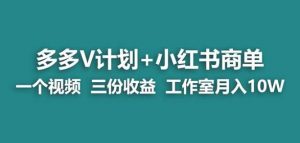 【蓝海项目】多多v计划+小红书商单一个视频三份收益工作室月入10w-云途资源库