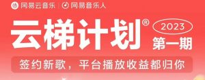 2023年8月份网易云最新独家挂机技术，真正实现挂机月入5000【揭秘】-云途资源库
