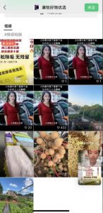 外面收费198的最新视频号连怼技术，条条原创，条条爆单【揭秘】-云途资源库