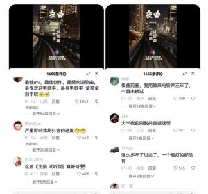 副业拆解：抖音杰伦音乐号涨粉变现项目，视频版一条龙实操玩法分享给你-云途资源库