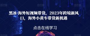 黑冰·海外短视频带货，2023年跨境新风口，海外小黄车带货新机遇-云途资源库
