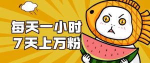 暴力涨粉项目：每天一小时，七天上万粉【揭秘】-云途资源库