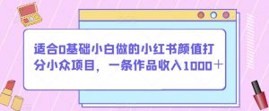 适合0基础小白做的小红书颜值打分小众项目，一条作品收入1000＋【揭秘】-云途资源库