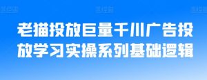 老猫投放巨量千川广告投放学习实操系列基础逻辑-云途资源库
