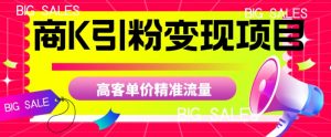 商K引粉变现项目，高客单价精准流量【揭秘】-云途资源库