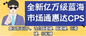 全新亿万级蓝海市场通惠达cps，最强管道收入，让你睡着赚、躺着赚、玩着赚、轻松赚【揭秘】-云途资源库