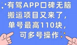 有驾APP口碑无脑搬运项目又来了，单号最高110块，可多号操作-云途资源库